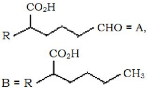 Reaction scheme showing oxidation of an alkyl-substituted cyclohexanone derivative and Wolff-Kishner reduction, followed by four sets of structures for A and B.