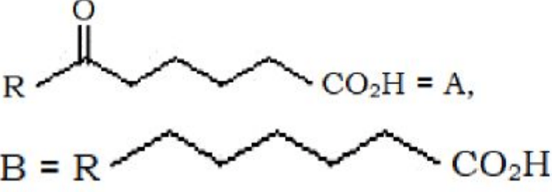 Reaction scheme showing oxidation of an alkyl-substituted cyclohexanone derivative and Wolff-Kishner reduction, followed by four sets of structures for A and B.