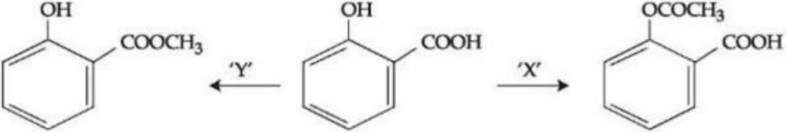 Salicylic acid reacts with Y to form methyl salicylate (oil of wintergreen) and with X to form acetylsalicylic acid (aspirin).