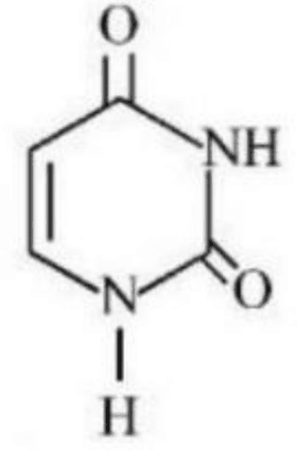 Chemical structure of Uracil showing a six-membered pyrimidine ring with two carbonyl oxygen atoms and two NH groups.